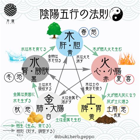 陰陽五行 動物|五行思想